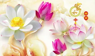 荷花图背景图片