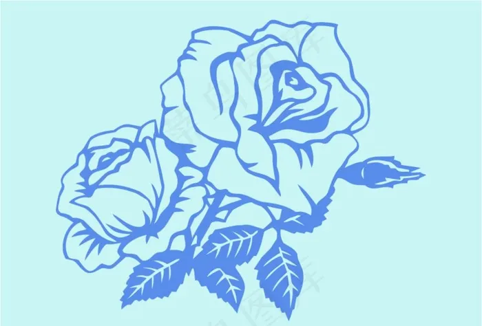 玫瑰花图片cdr矢量模版下载