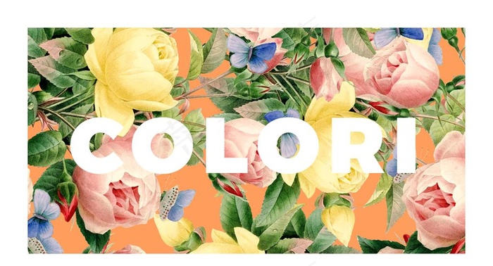 小清新卡片图片