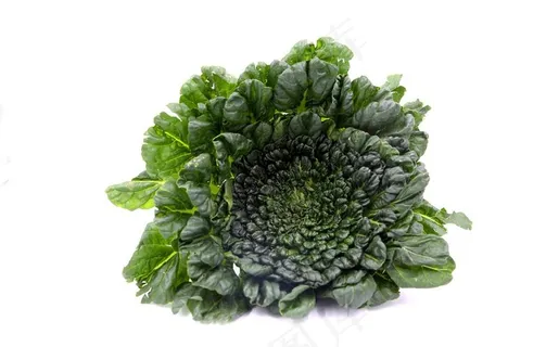 乌塌菜 塔菜图片 乌塌菜 塔菜图片