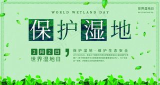 保护湿地图片