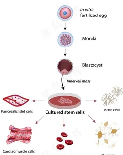 卫生医疗背景图片 卫生医疗背景图片