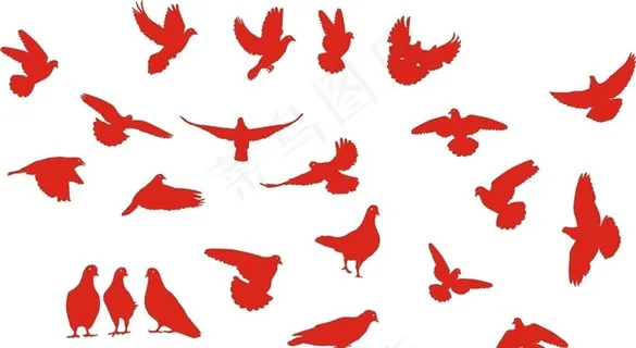 鸽子剪影图片