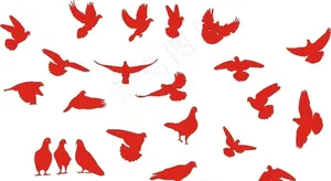 鸽子剪影图片