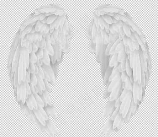 翅膀图案设计图片