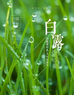 白露图片 白露图片