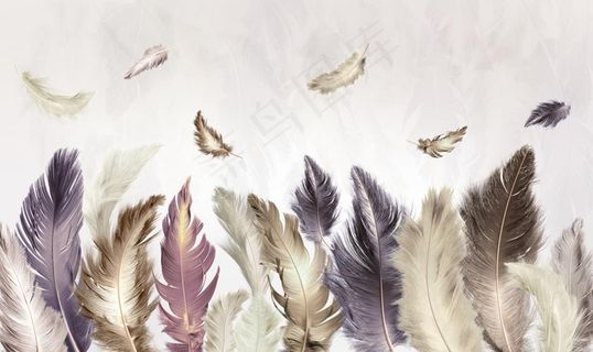羽毛背景墙图片