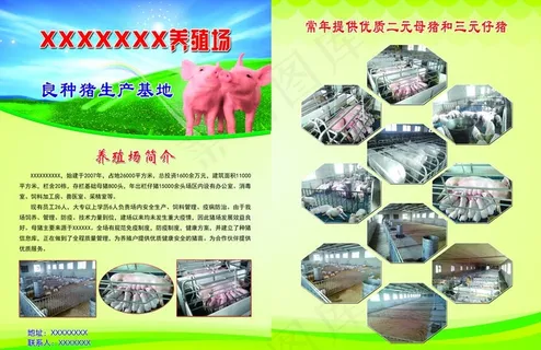 猪场宣传单图片