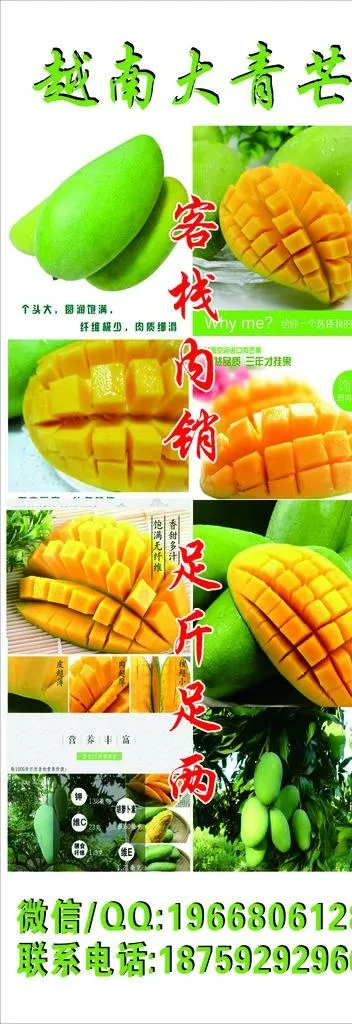芒果展架图片cdr矢量模版下载