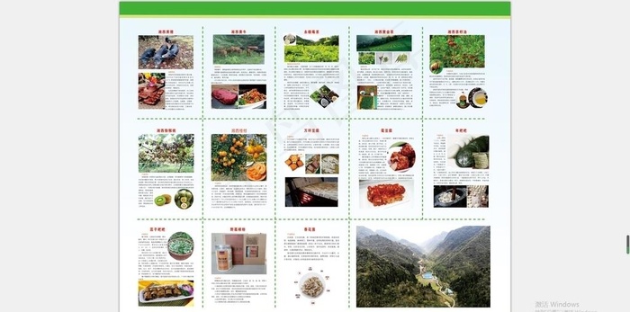 农产品宣传手册图片