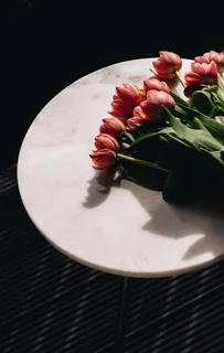 鲜花图片 鲜花图片