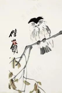 齐白石国画 猫头鹰图片