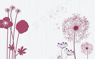 花朵蒲公英图片