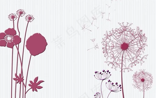 花朵蒲公英图片 花朵蒲公英图片