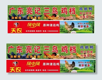 活鸡档招牌门头图片