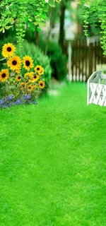 儿童摄影背景图片