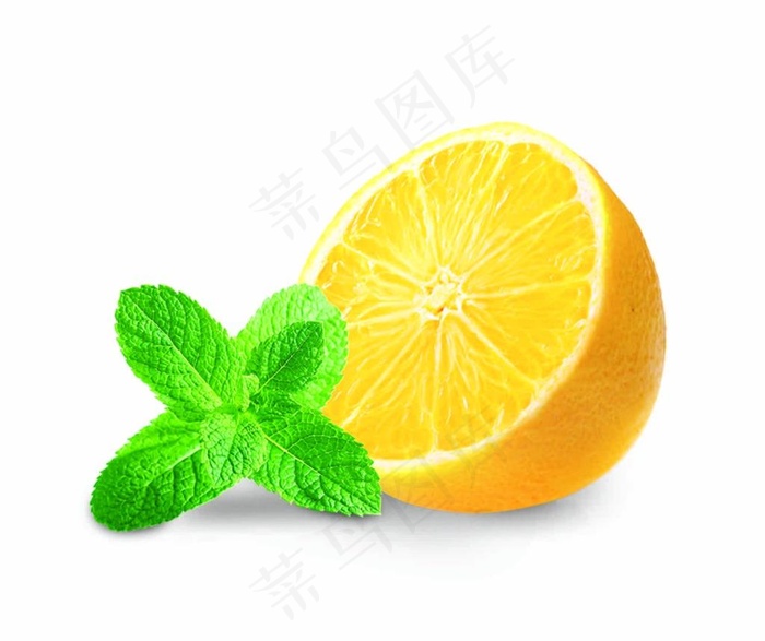 柠檬薄荷图片