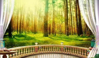 阳台风景 树林背景墙图片