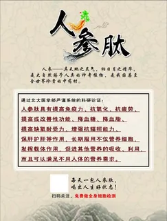 人参肽保健彩页图片