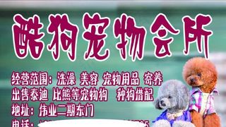 宠物店招牌图片