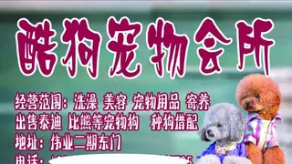 宠物店招牌图片