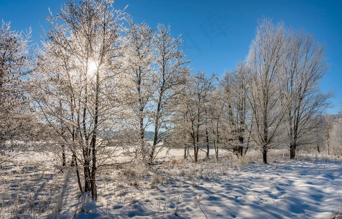 雪景图片