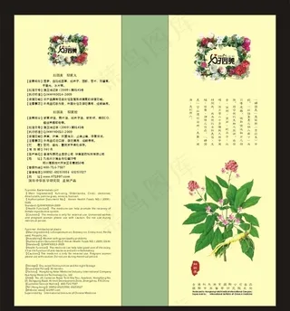 妇因美包装图片