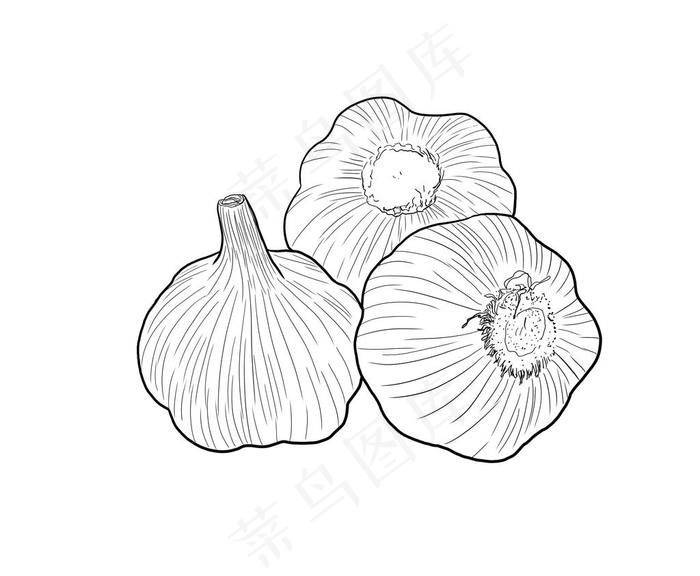 蒜图片psd模版下载
