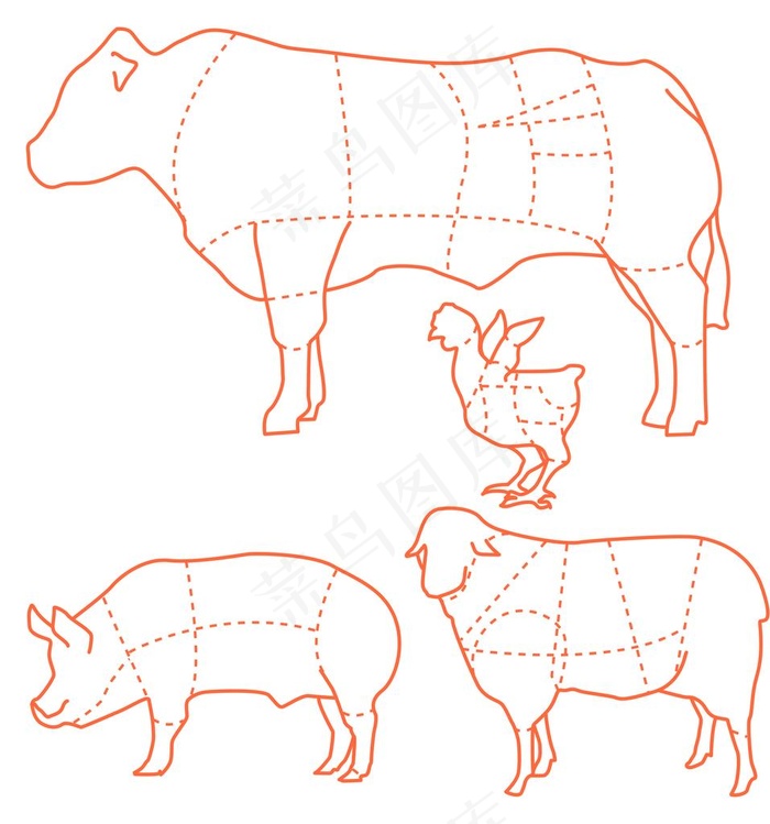 猪牛羊鸡食用肉切割分布图图片