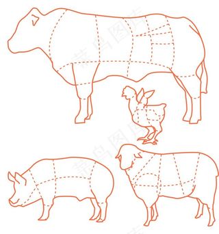猪牛羊鸡食用肉切割分布图图片
