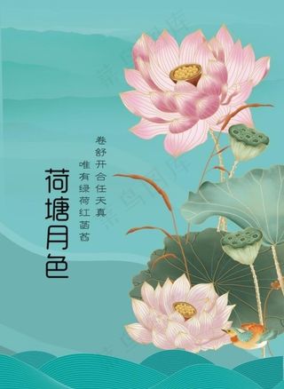 荷花图片
