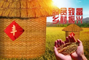 粮仓图片