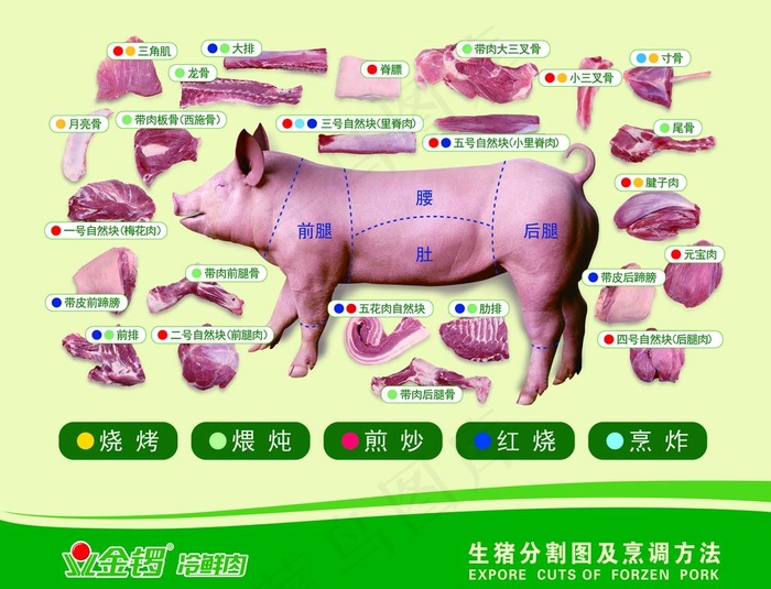 猪肉分割图图片