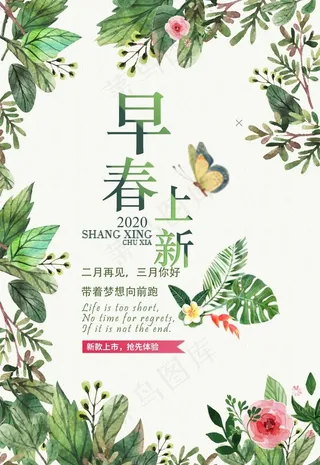 早春上新图片