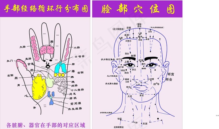 手部 脸部穴位图图片