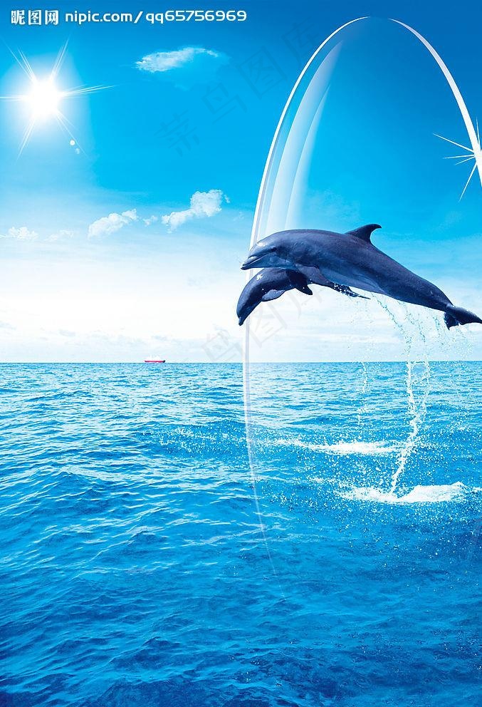 海豚眼镜片图片(2126X3071(DPI:300))psd模版下载