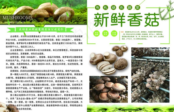 香菇图片