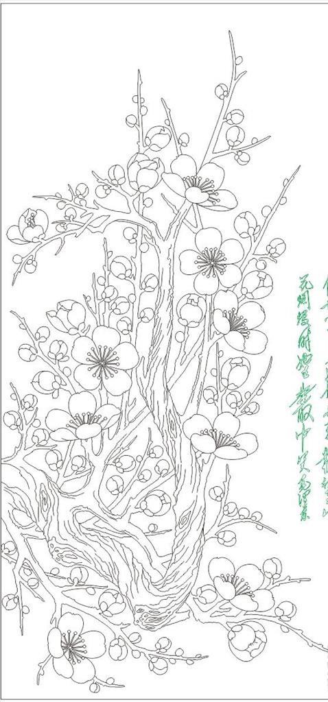 线描梅花图片