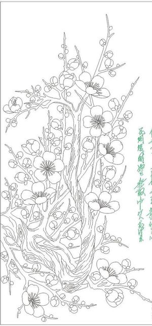 线描梅花图片