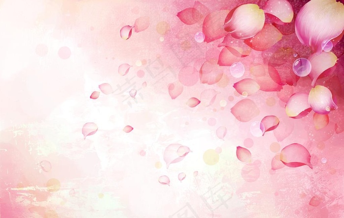 花瓣图片(4992X3320(DPI:300))psd模版下载