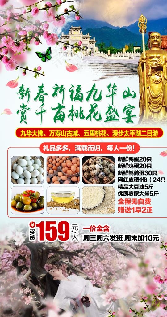 新春祈福九华山 赏千亩桃花盛宴图片