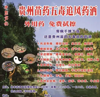 贵州苗药五毒追风药酒图片