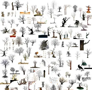 免抠png枯树素材图片