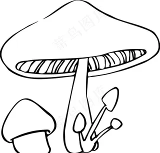 蘑菇图片