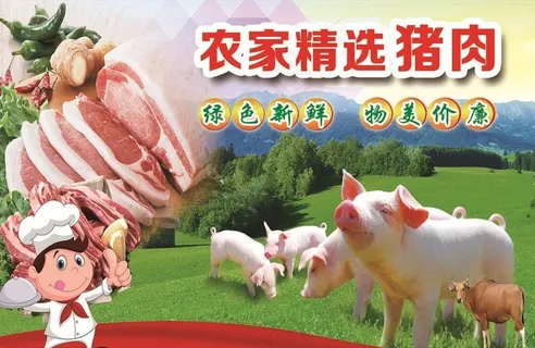 新鲜猪肉 农家 肉铺海报 展板图片