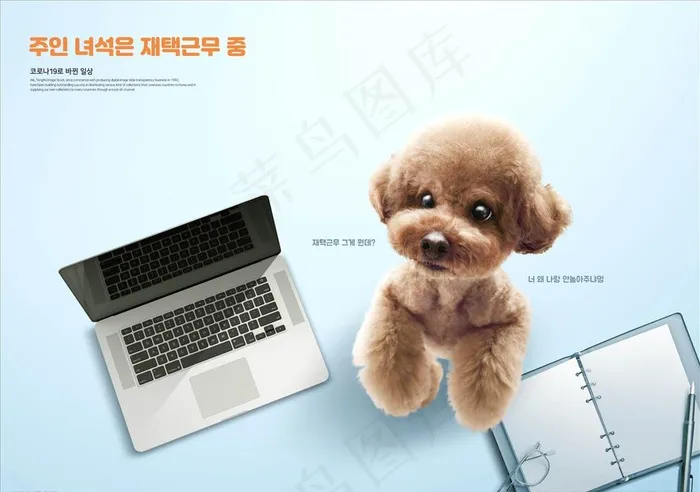 宠物店图片(4898X3595(DPI:300))psd模版下载