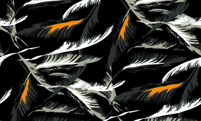 数码 大牌 羽毛  爆款 印花图片