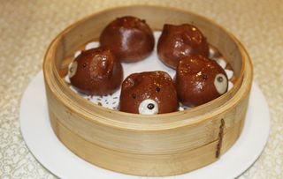 熊仔菜鸟图库片