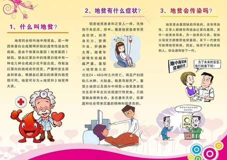 地中海贫血 三折页 地贫血图片