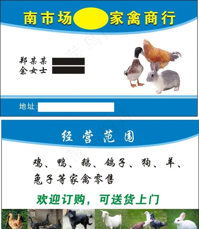 家禽名片图片